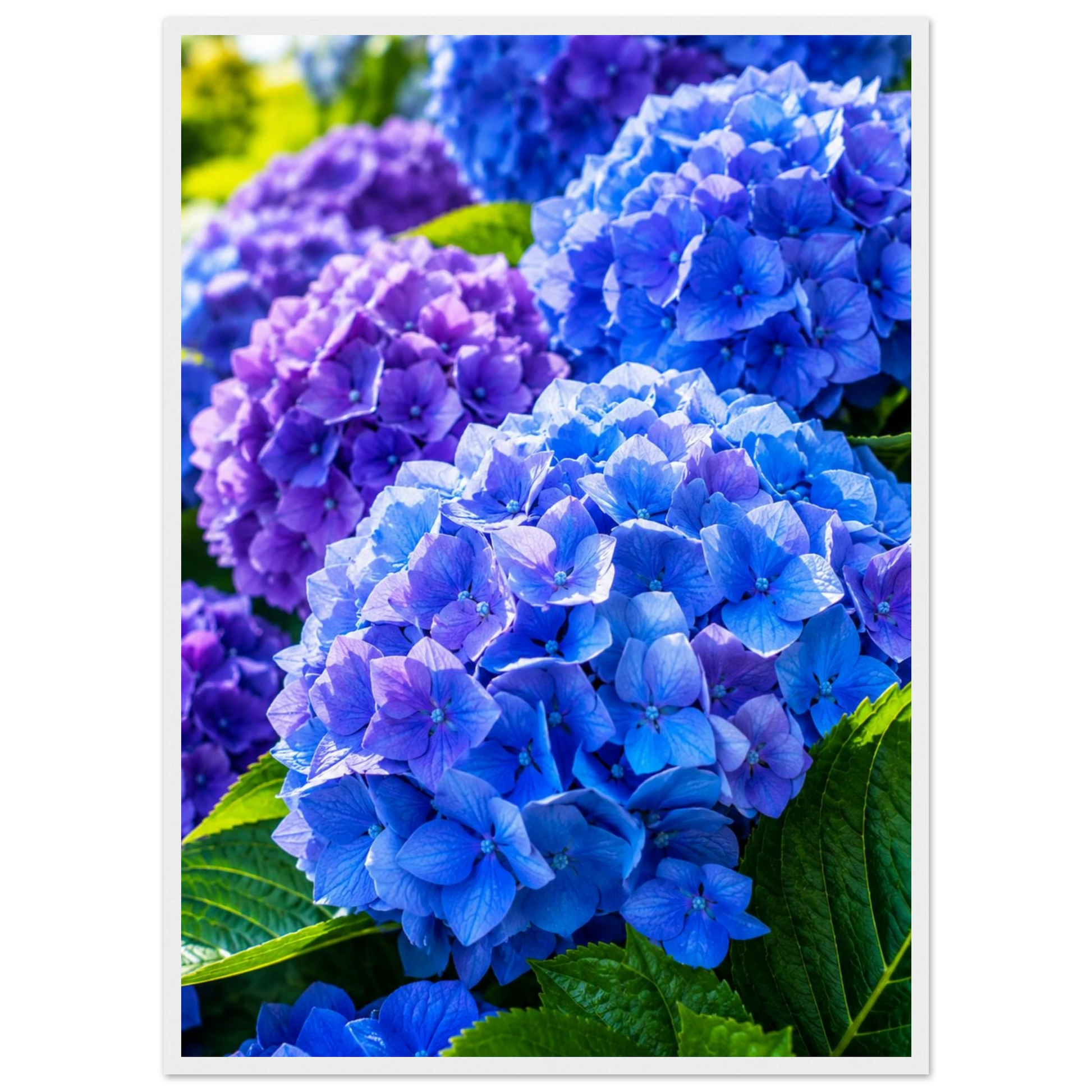118ee1f1-e567-413a-90a4-c3835f751994