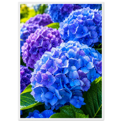 118ee1f1-e567-413a-90a4-c3835f751994