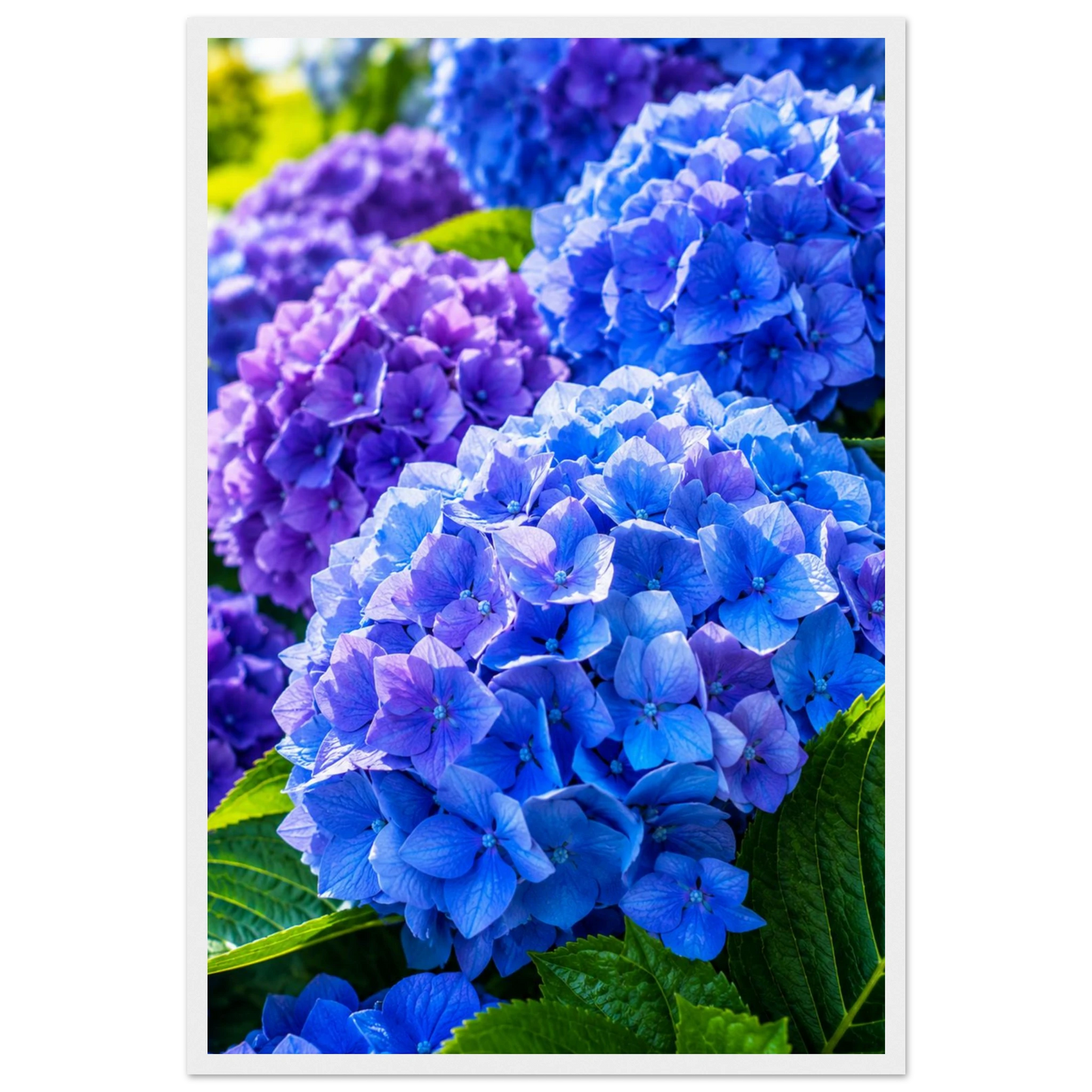 1c67dbbc-d2c8-45f2-a385-e642b4715de6