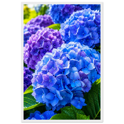 1c67dbbc-d2c8-45f2-a385-e642b4715de6