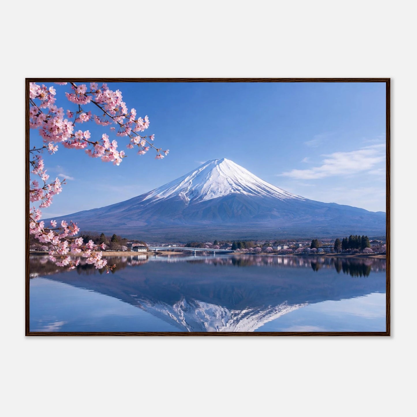 20dfd5fb-c9e4-45bf-9907-b11f0feb567b