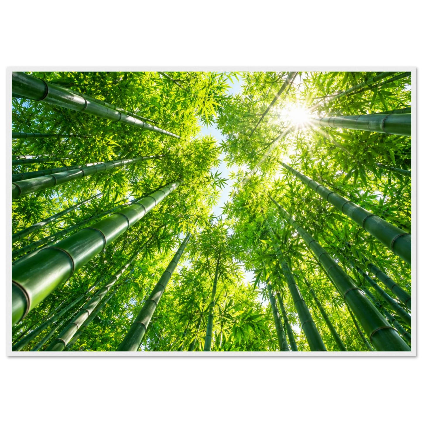3753403f-ed4a-4b4c-be63-e24d54589d52