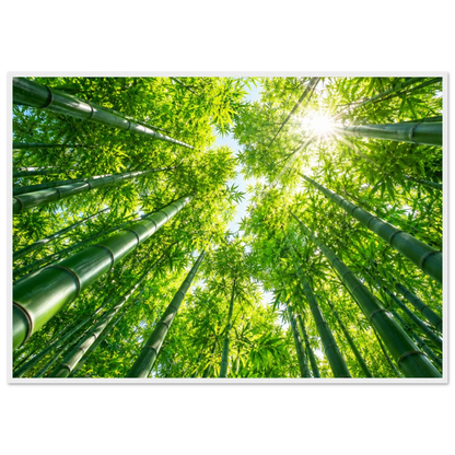 3753403f-ed4a-4b4c-be63-e24d54589d52