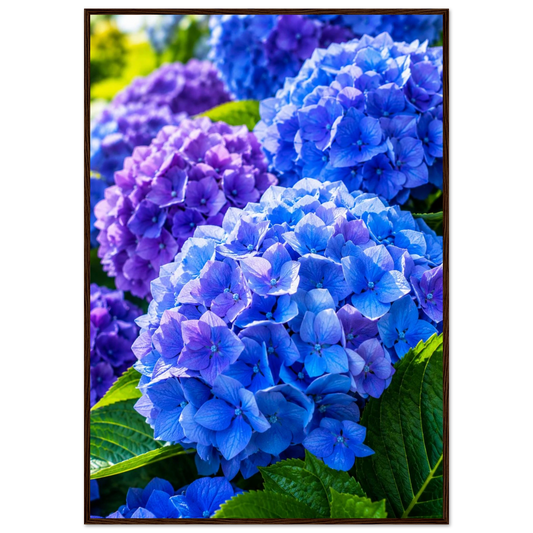 459c2148-6889-4843-a5ae-5f936d91d83f