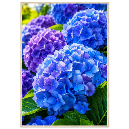 47e15903-f1d2-472a-ac28-89d0ead226e3