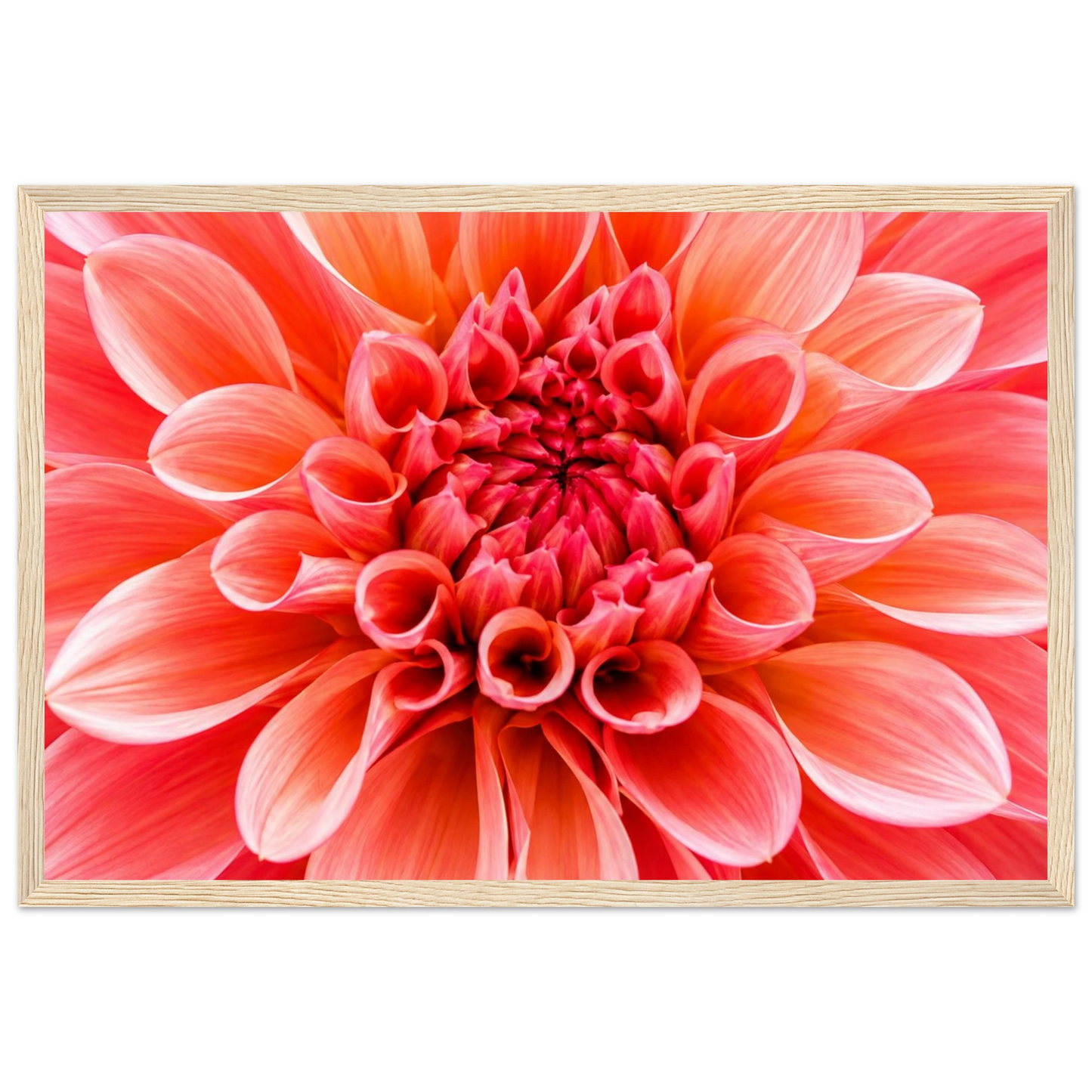 4d328725-f776-4948-b17a-a0d4205cb8fd