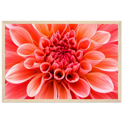 4d328725-f776-4948-b17a-a0d4205cb8fd