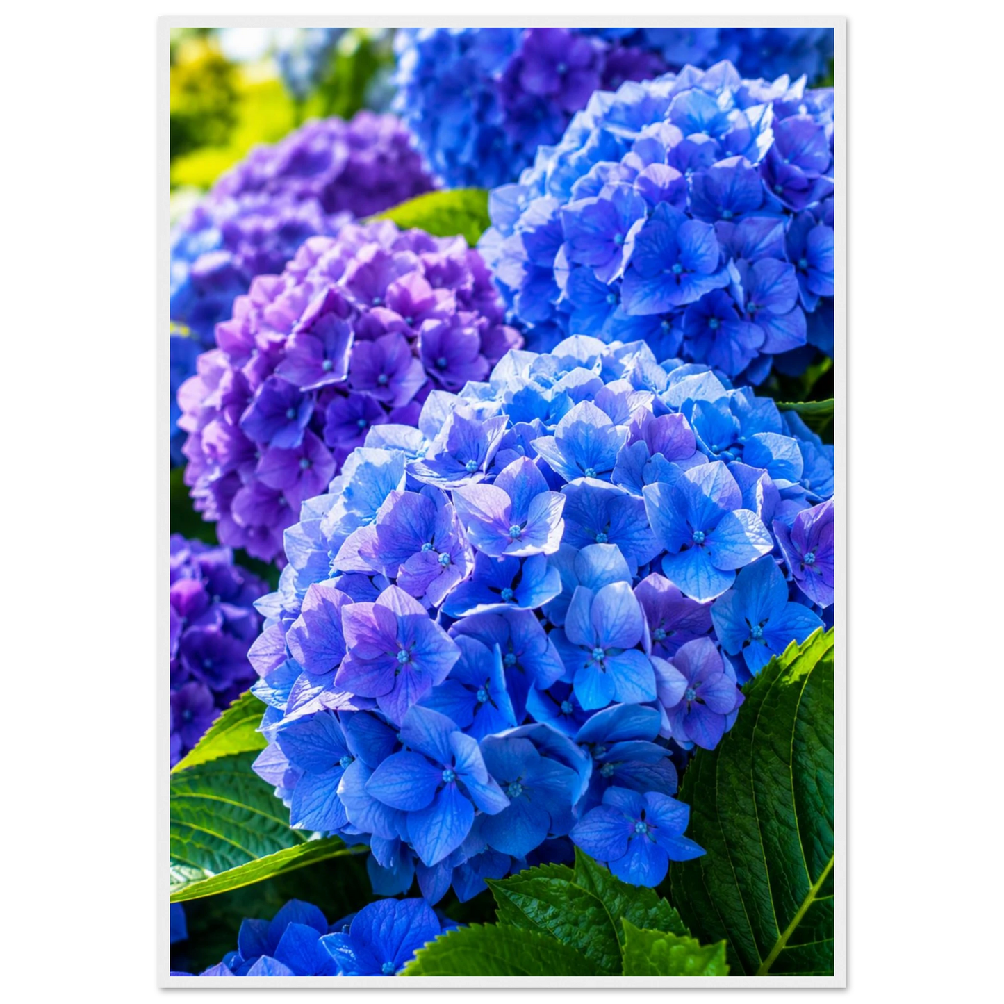 57f4b2c8-5ddf-4101-ba9b-a460e0e07b15