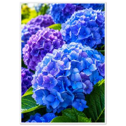 57f4b2c8-5ddf-4101-ba9b-a460e0e07b15