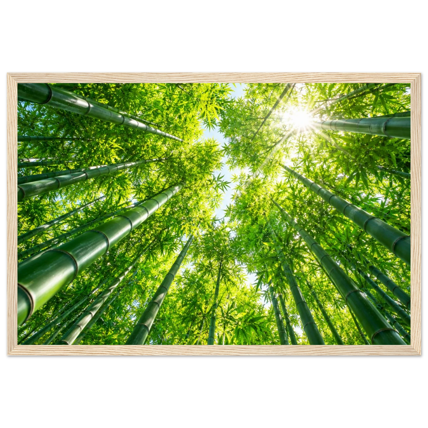 69ec7751-ce35-4c09-8d22-d245e2f59339
