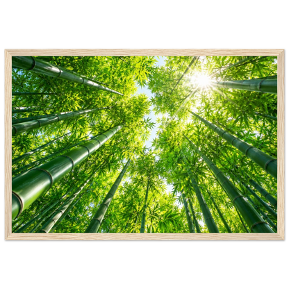 69ec7751-ce35-4c09-8d22-d245e2f59339