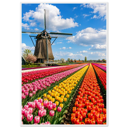 72d391e9-db87-4f14-be9f-d587b20196db