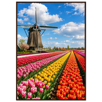 77045f38-7119-4e54-bfcb-832342aab0a8
