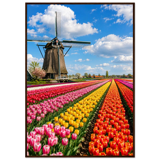 77045f38-7119-4e54-bfcb-832342aab0a8