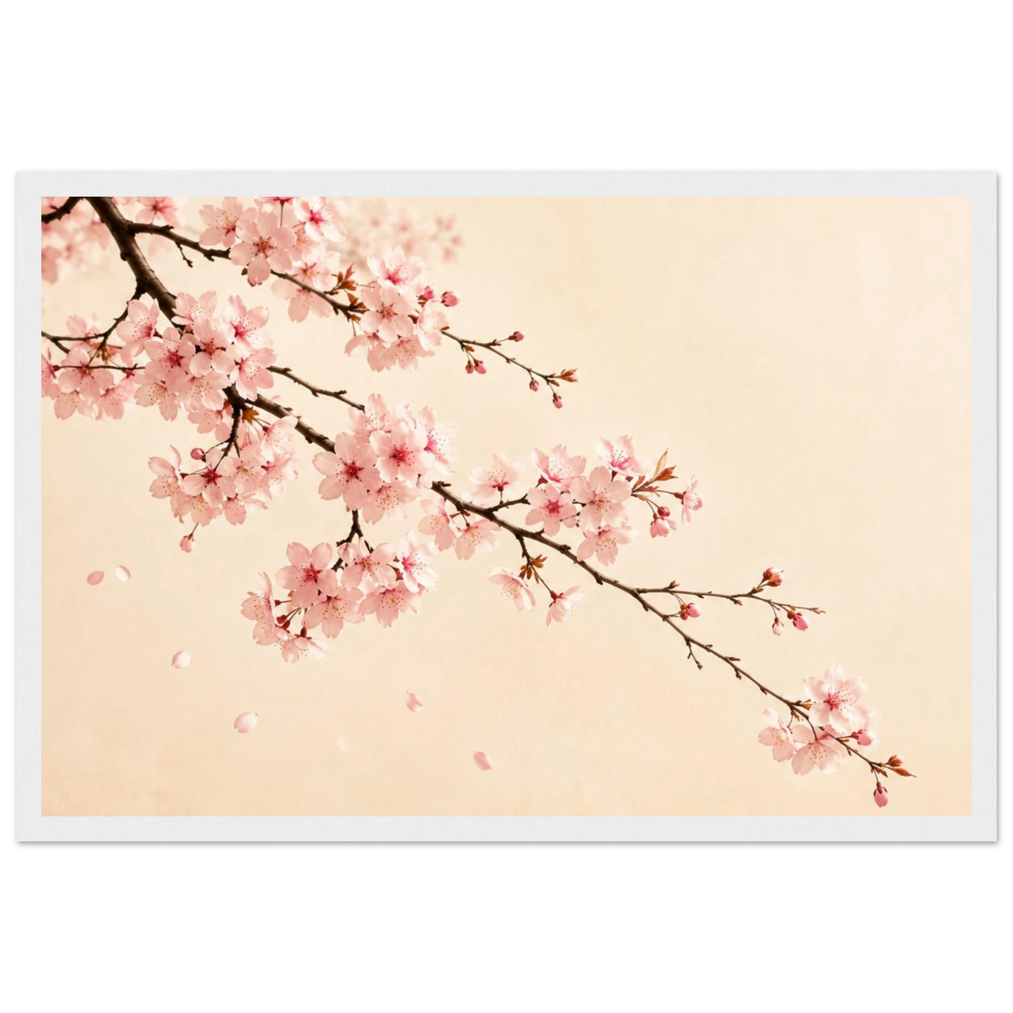 8a55ec3c-2a5c-432f-a3c1-594f09d09b6d