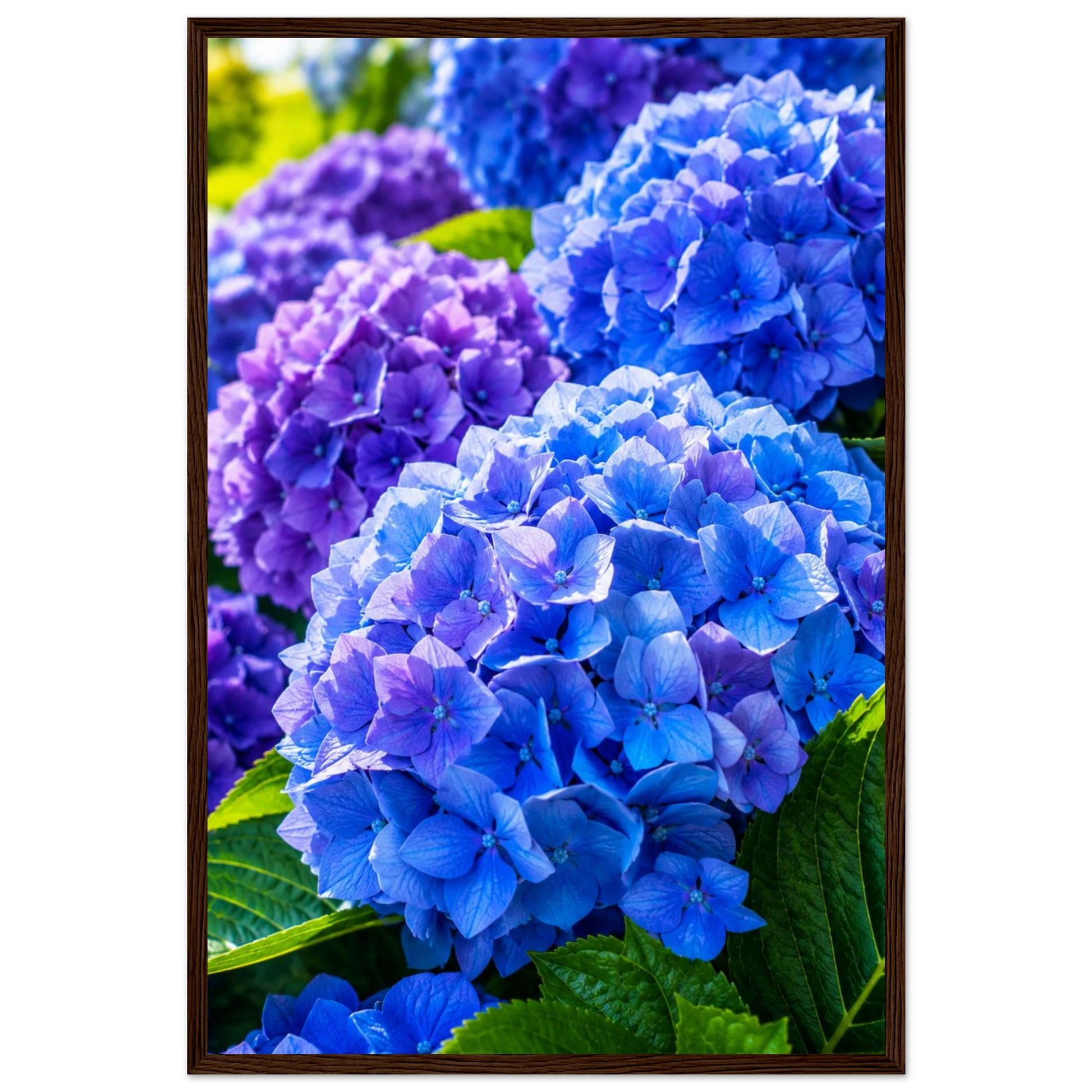 bd4c91eb-bfdd-4fe4-b3ba-6c1bbcea0b48