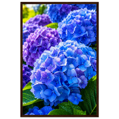 bd4c91eb-bfdd-4fe4-b3ba-6c1bbcea0b48
