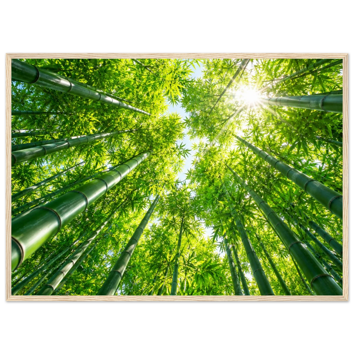 ca597fae-4142-4da5-a5d6-a91c2b299fe3