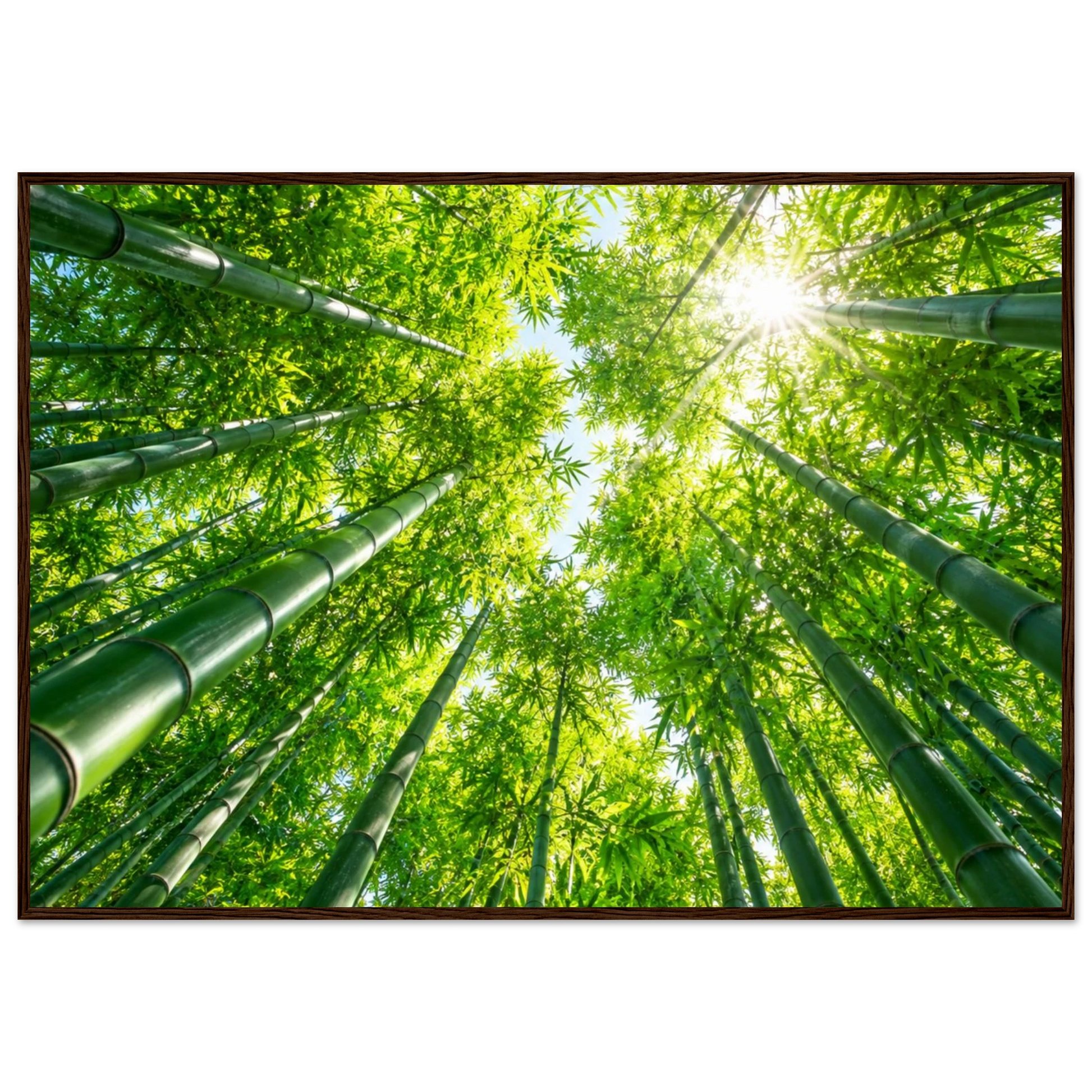 ddcbe8d6-ae91-460a-8d54-9fb3ee4ed986