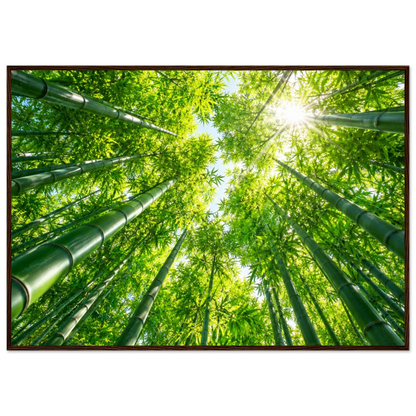 ddcbe8d6-ae91-460a-8d54-9fb3ee4ed986