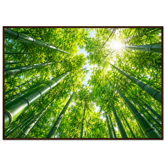 ddcbe8d6-ae91-460a-8d54-9fb3ee4ed986