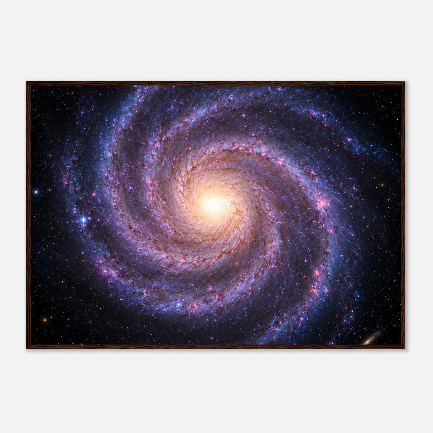 e11b7942-616b-453e-af05-57871fd191ca
